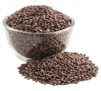 MASAR SALAM PREMIUM QUALITY (500G)